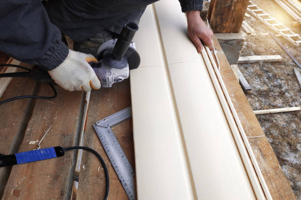 Best Siding Painting and Refinishing  in Mount Carmel, TN
