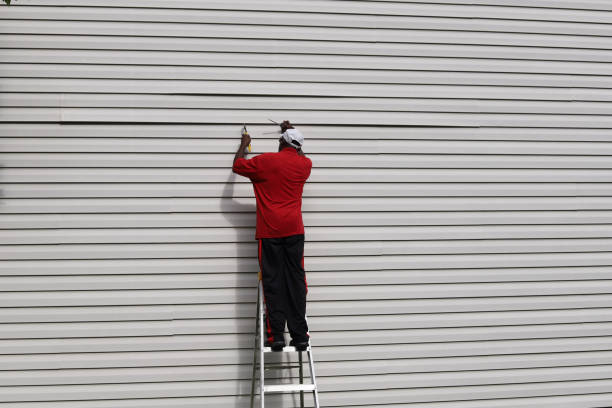 Best Steel Siding Installation  in Mount Carmel, TN
